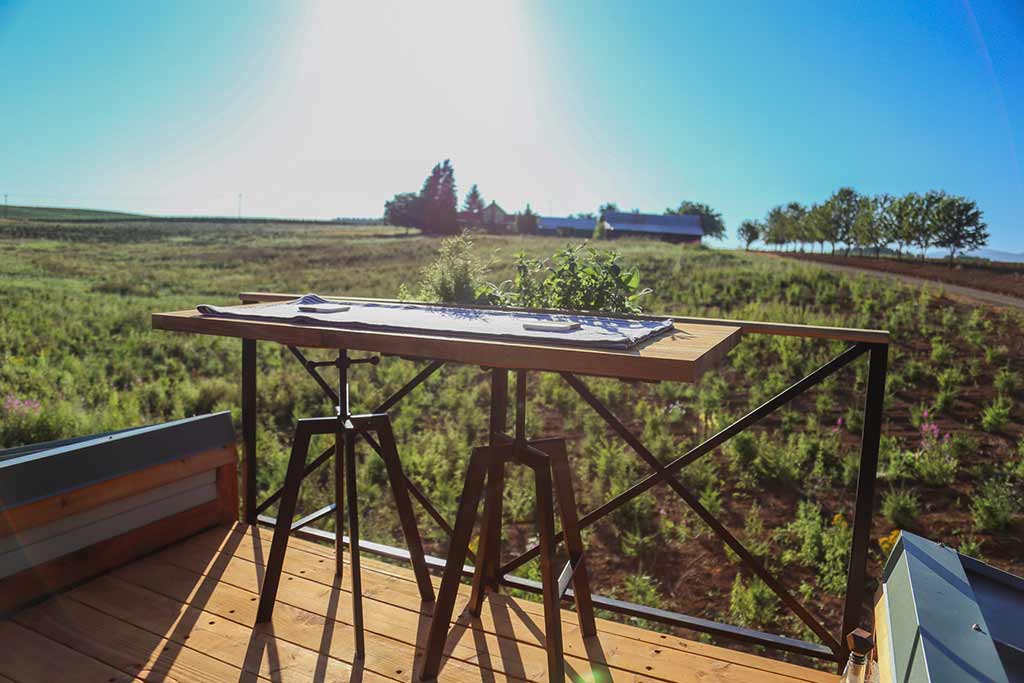 tiny house rooftop