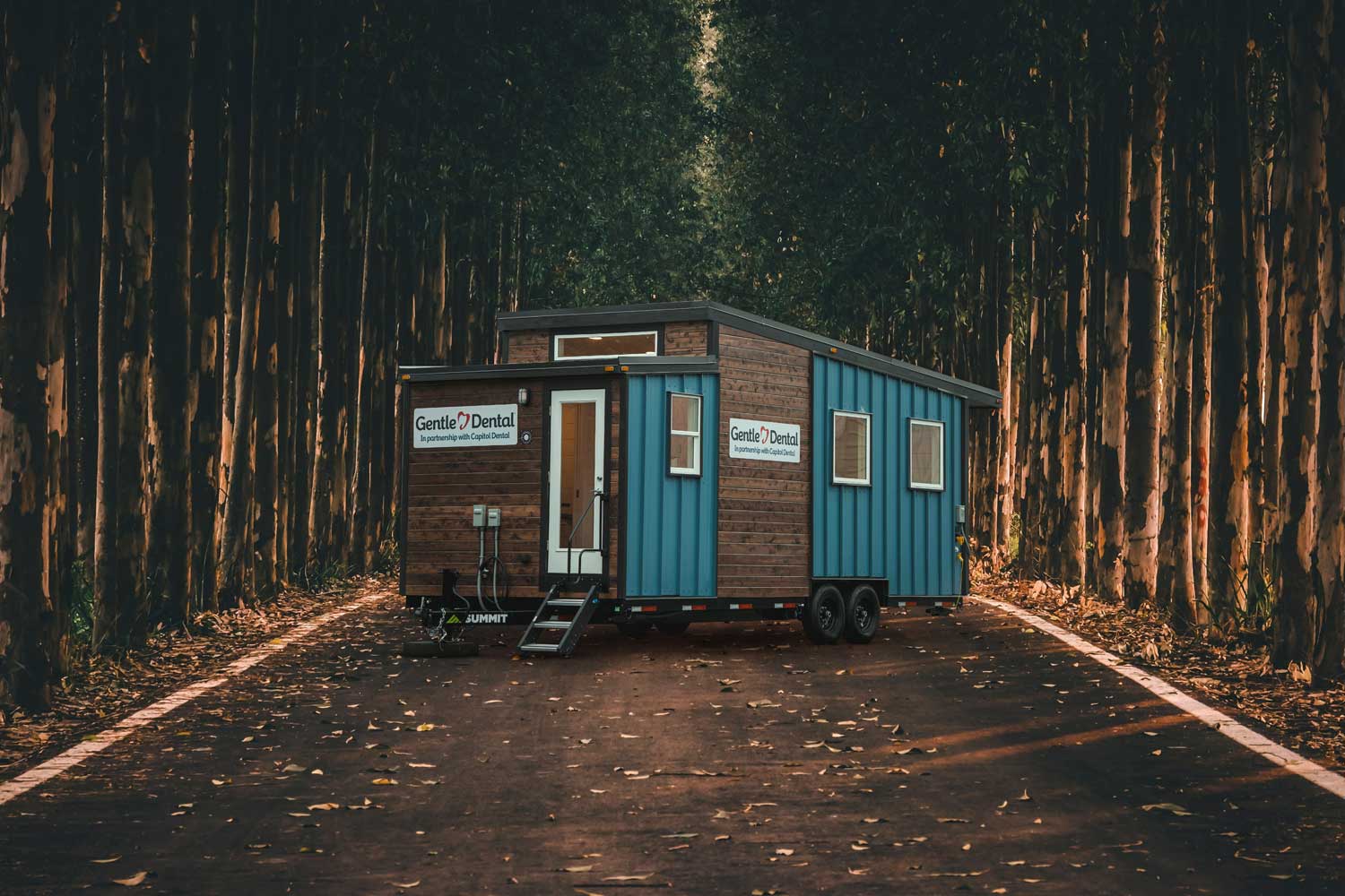 Exterior of the Gentle Dental Mobile Dentists office commercial tiny home, set on a forested road